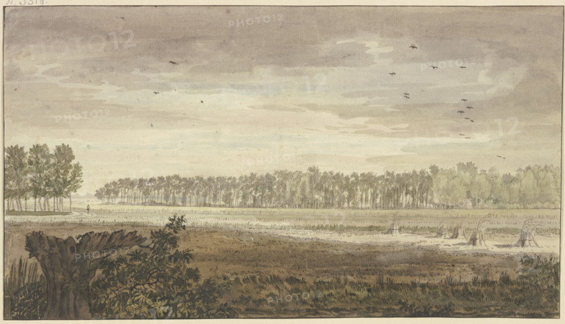Landscape, a long grove in the background, fields with some sheaves of grain in..., 18th century. Creator: Jacobus van Liender.
