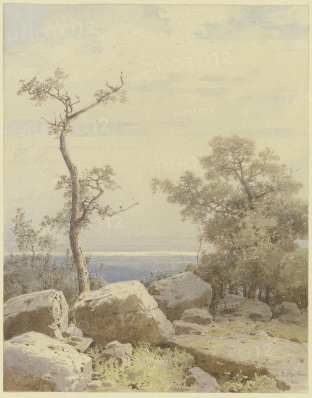 Bare tree among stone blocks, 1880. Creator: Carl Theodor Reiffenstein.