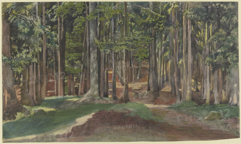 Inside a forest, 19th century. Creator: Theodor Alt.
