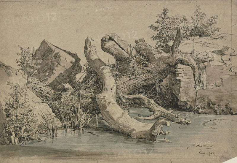 Fallen tree by a stream, 1856. Creator: Johann Heinrich Hasselhorst.