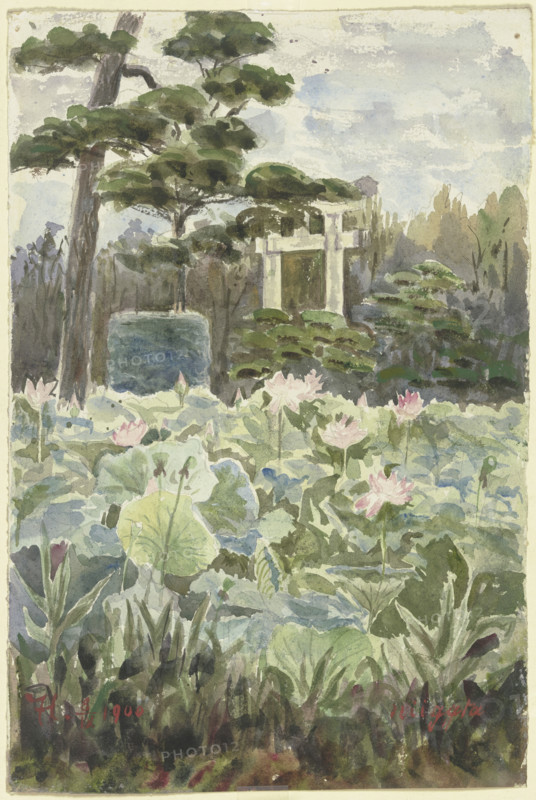 View of a Japanese garden, 1900. Creator: Fritz Hauck.