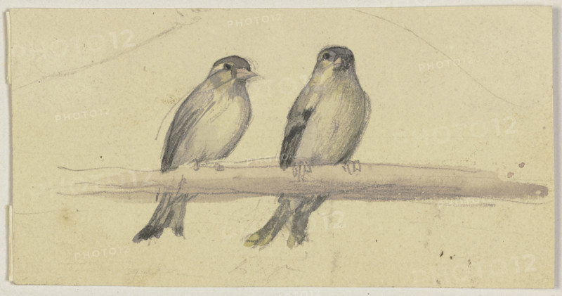Two birds on a pole, 19th century. Creator: Jakob Becker.