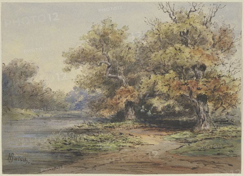 Lakeshore with tall trees, 19th century. Creator: Hermann Baisch.