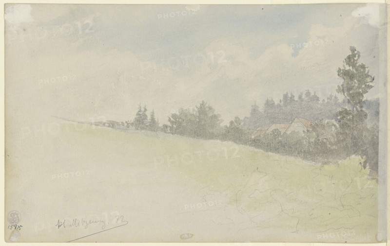 Sloping meadow, 1882. Creator: Jacob Hoffmann.