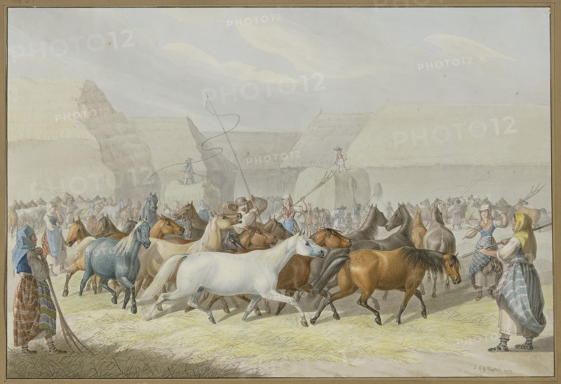 Depiction of threshing with horses in Syrmia (Slavonia), 1832. Creator: Johann Erdmann Gottlieb Prestel.