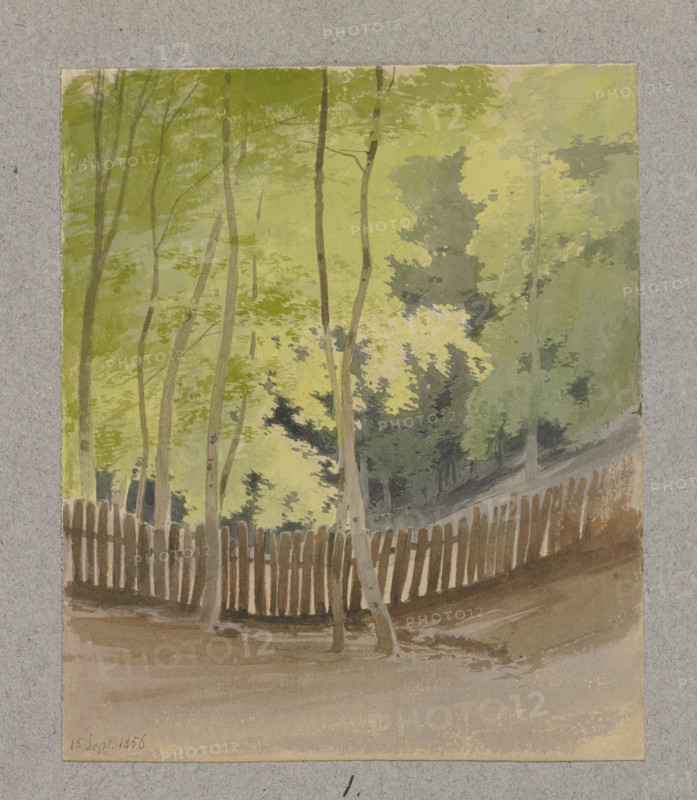 Wooden fence through a wooded valley floor, 1856. Creator: Carl Theodor Reiffenstein.