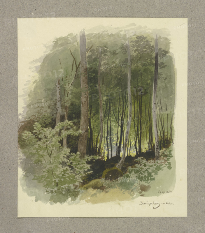 Forest near Zwingenberg on the Neckar River, 1850. Creator: Carl Theodor Reiffenstein.