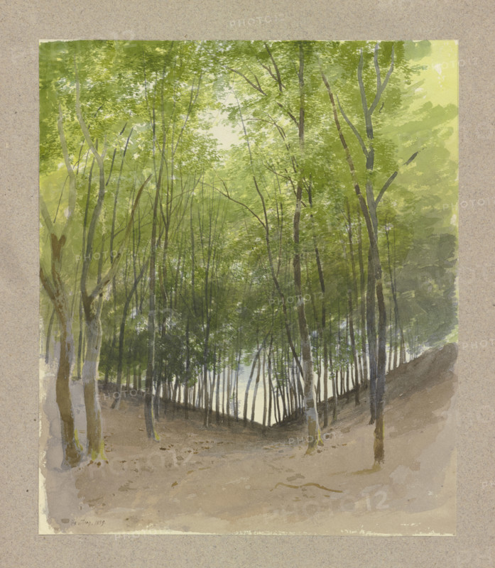 Woodland scene in a valley bottom, 1859. Creator: Carl Theodor Reiffenstein.