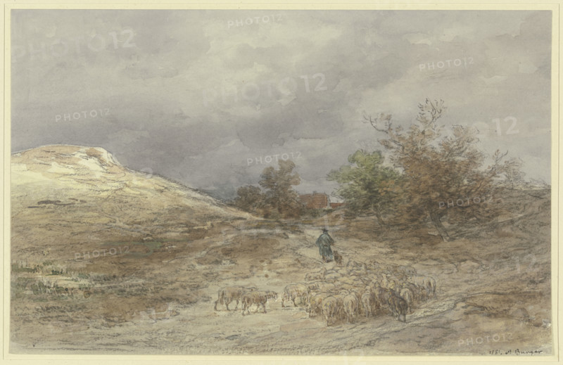 Sunken way with a flock of sheep near Kelsterbach, 1881. Creator: Anton Burger.