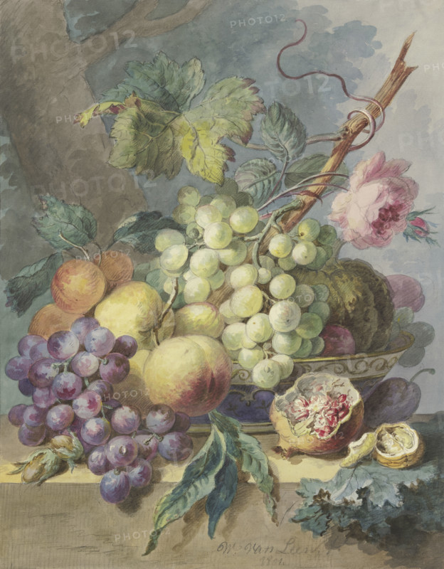 Fruit scene with grapes, peaches, etc, including a rose, 1801. Creator: Willem van Leen.