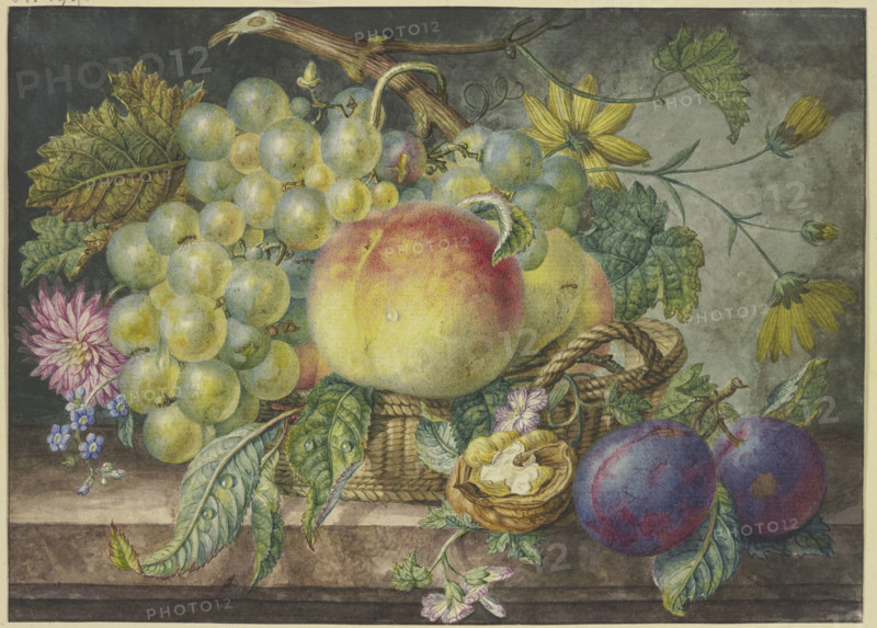 Fruit scene, a basket with grapes and peaches, including a nut and two plums. Creator: Oswald Wijnen.