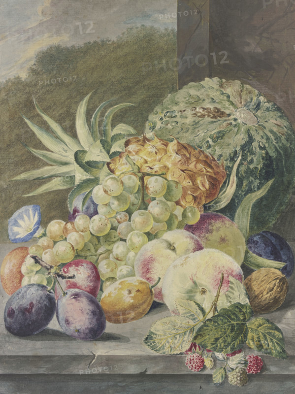 Fruit scene, melon, pineapple, grapes, peaches, plums, nuts. Creator: Paul Theodor van Brussel.