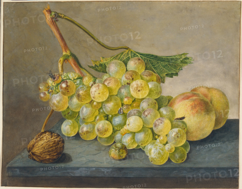 Still Life with Bunch of Grapes, Walnut and Peaches,  c1765-1800. Creator: Wybrand Hendriks.