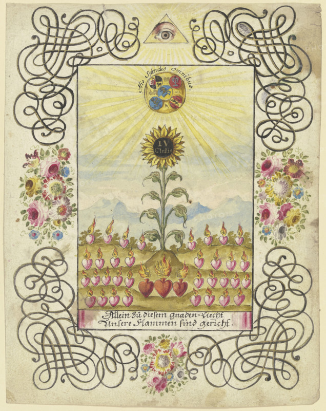 Sunflower with gold lettering, c1740-1788. Creator: Johann Esaias Nilson.