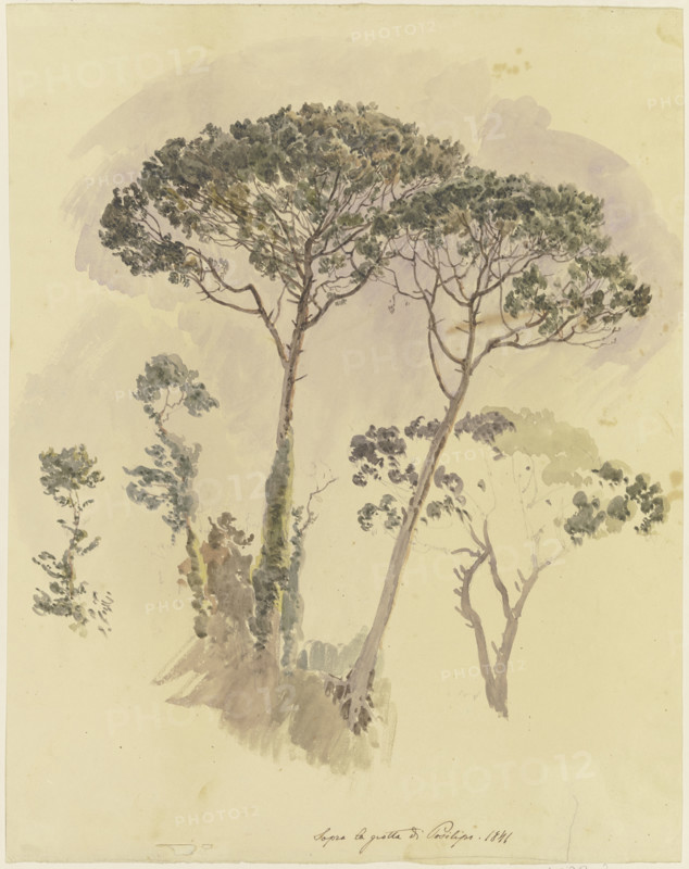 Pine trees above the Grotto of Posilipo, 1841. Creator: Johann Nepomuk Rauch.
