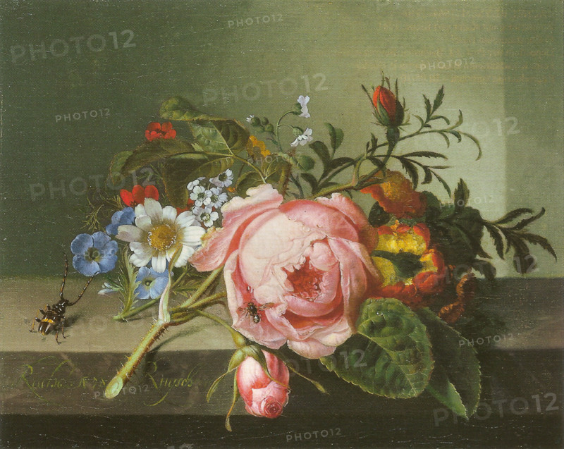 Spray of flowers, with a beetle on a stone balustrade, 1741. Creator: Rachel Ruysch.