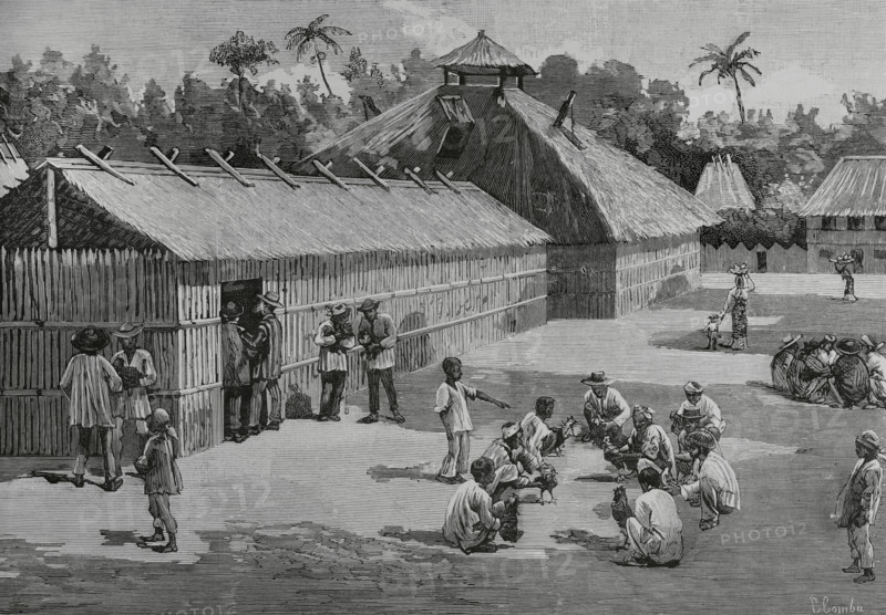 Natives of the countryside training the fighting cocks, Philippines, 1883.  Creator: Juan Comba García.