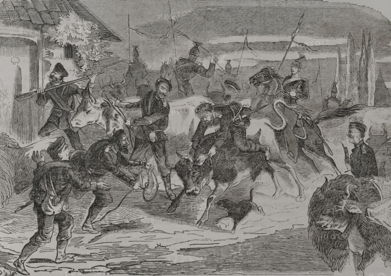 Franco-Prussian War (1870-1871): Prussian soldiers in search of food, 1870. Creator: Unknown.