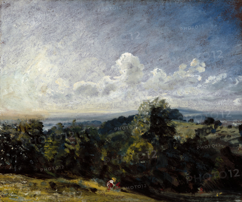 Hampstead Heath looking towards Harrow (I), 1821. Creator: John Constable.