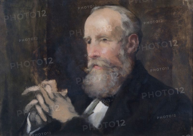 Portrait of Henry William Banks Davis, R.A., 1904. Creator: Lawrence Alma-Tadema.