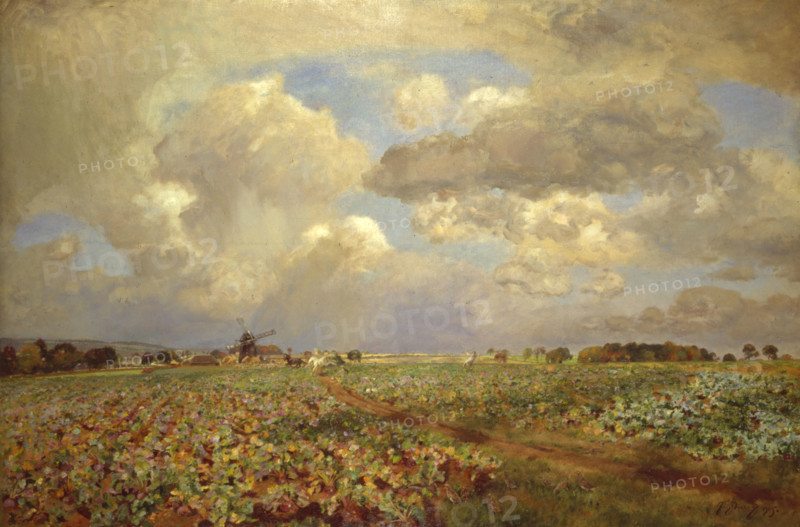 Swedes, 1905. Creator: David Murray.