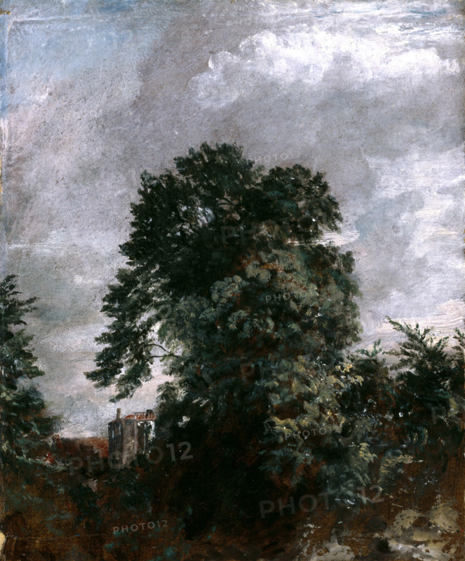 Distant View of the Grove, Hampstead, 1822. Creator: John Constable.