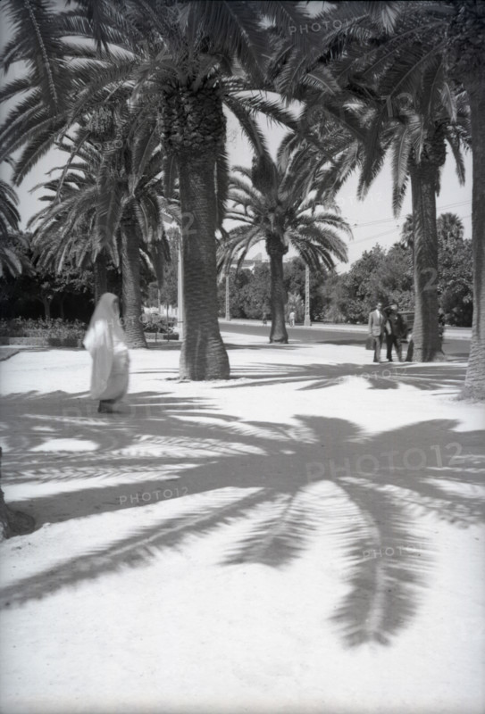 Parc Lyautey, Casablanca, Morocco, c1955. Creator: Arthur Charles Kirby Ware.
