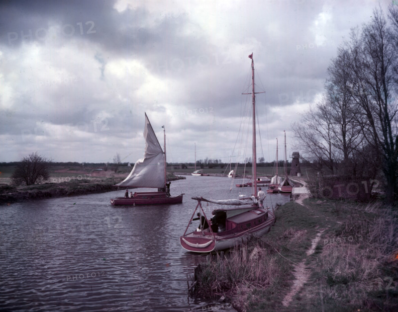 Norfolk Broads, c1955. Creator: Arthur Charles Kirby Ware.