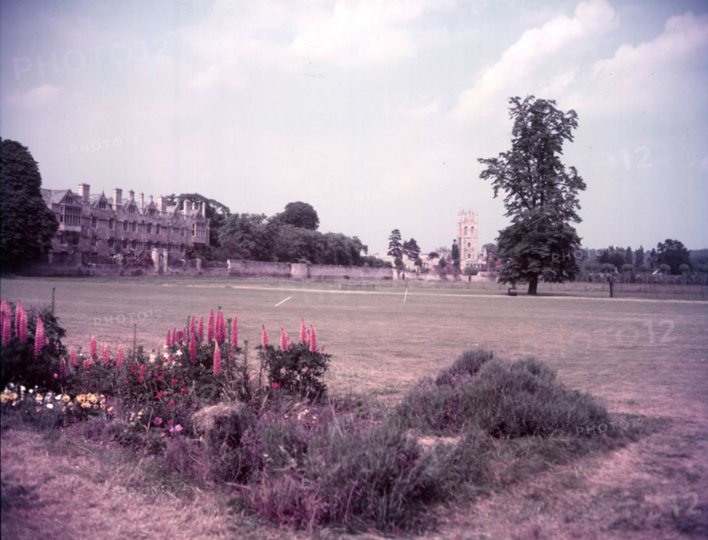 Merton College and chapel from Christchurch Meadows, Oxford, c1955.   Creator: Arthur Charles Kirby Ware.