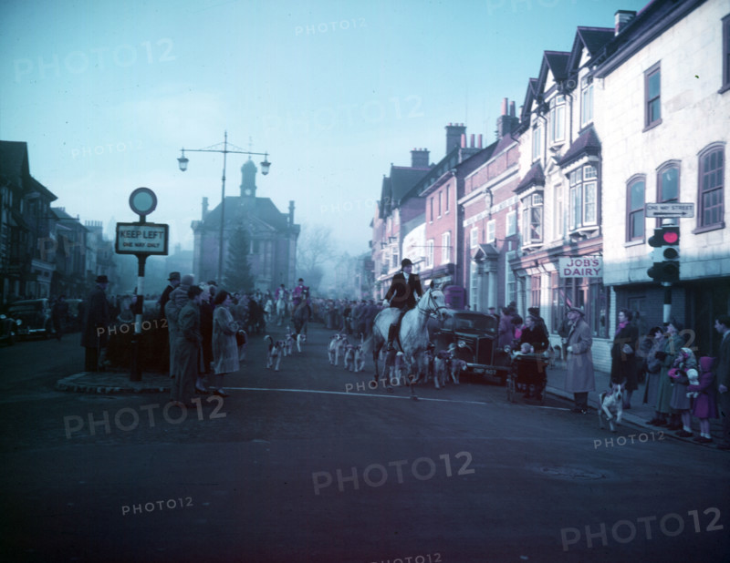 Henley hounds, Henley-on-Thames, Oxfordshire, c1955. Creator: Arthur Charles Kirby Ware.