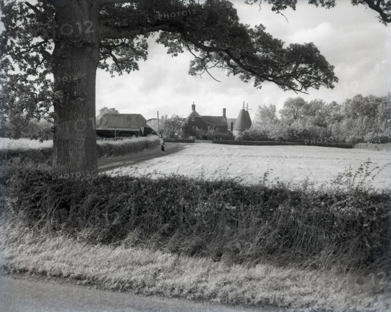 Oast houses near Goudhurst, Kent, c1955. Creator: Arthur Charles Kirby Ware.