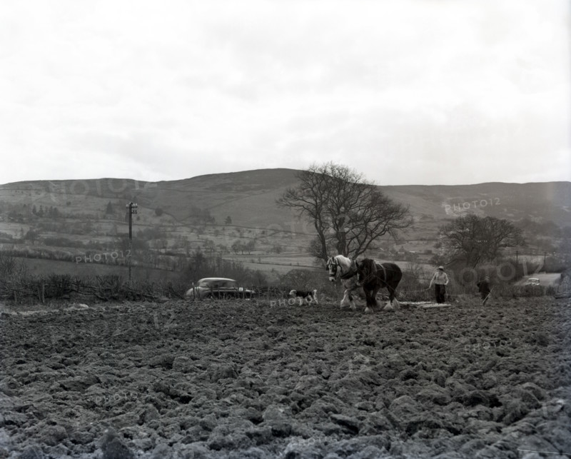 Ploughing, Wales, c1955. Creator: Arthur Charles Kirby Ware.