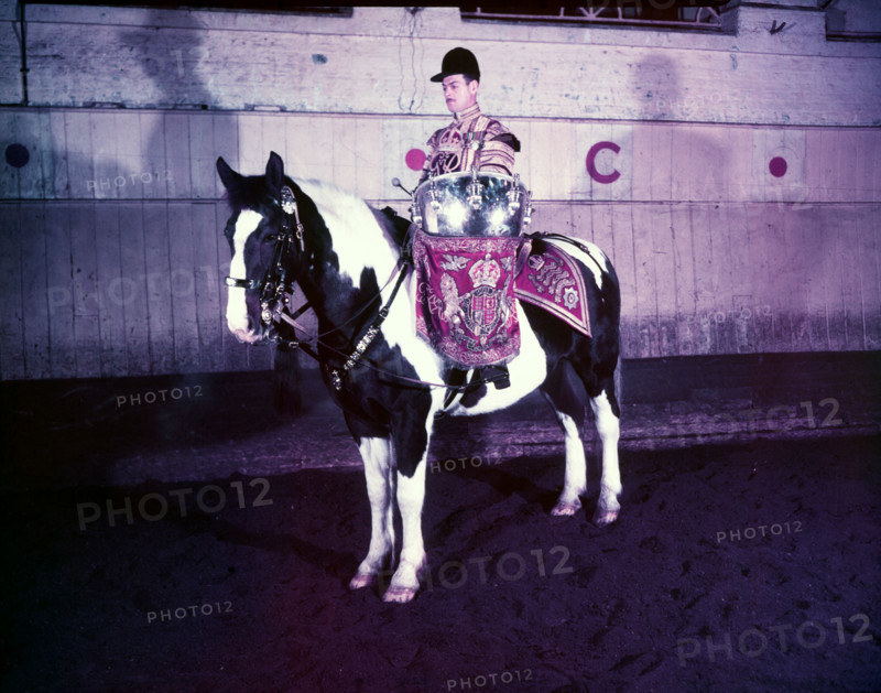 State drummer on horse, London, c1953.  Creator: Arthur Charles Kirby Ware.