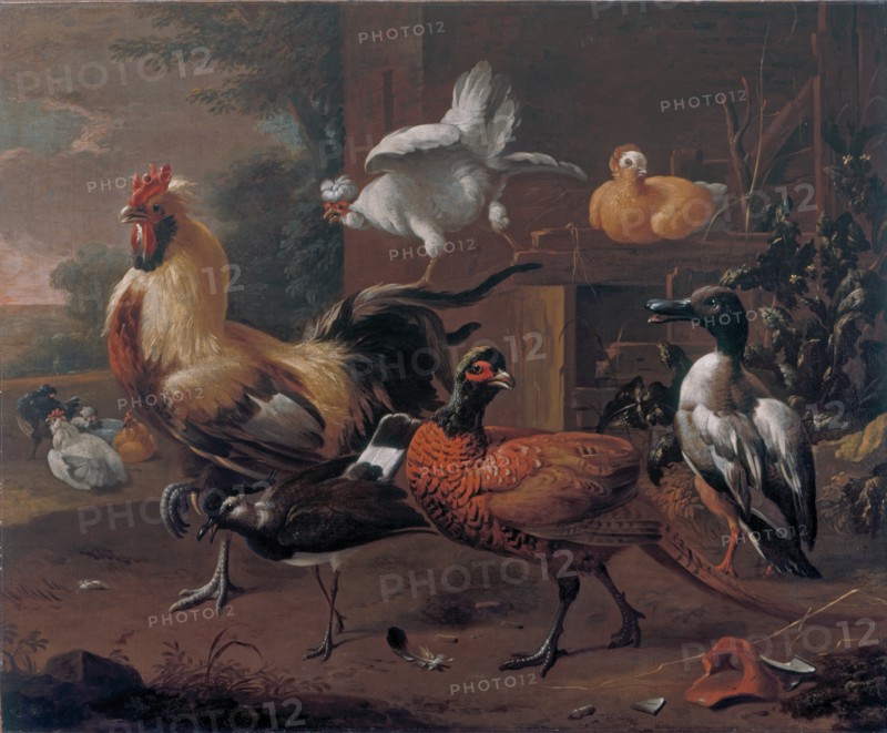 Poultry-yard, 1650. Creator: Melchior d'Hondecoeter.