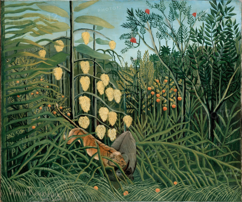 In a Tropical Forest. Struggle between Tiger and Bull, 1908. Creator: Henri Rousseau.