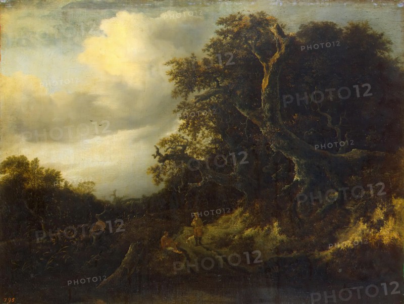 Road at the Edge of the Forest, 1647. Creator: Jacob van Ruisdael.