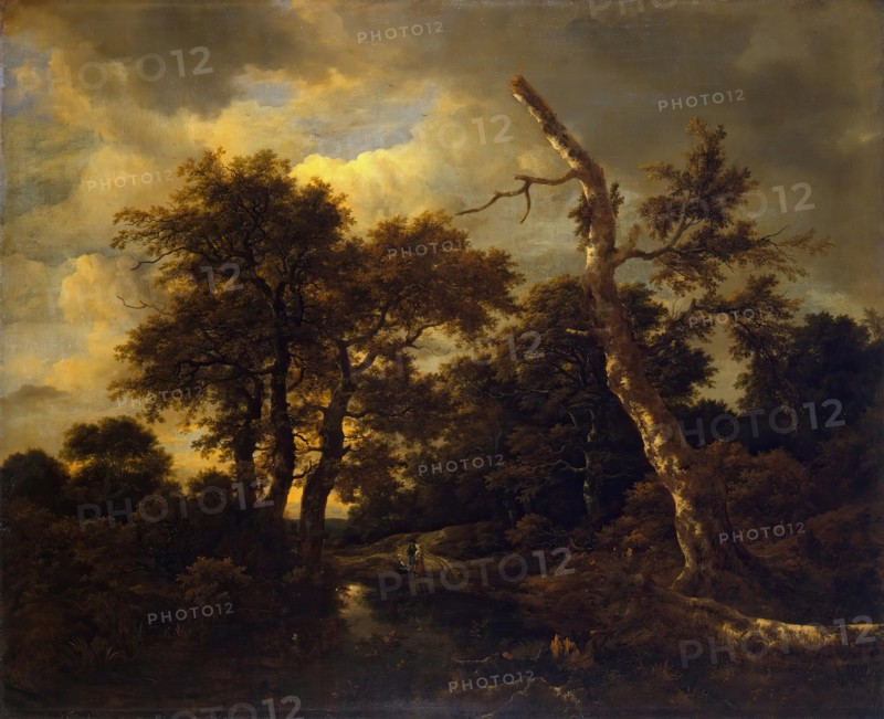 Winter landscape with dead tree, 1660. Creator: Jacob van Ruisdael.