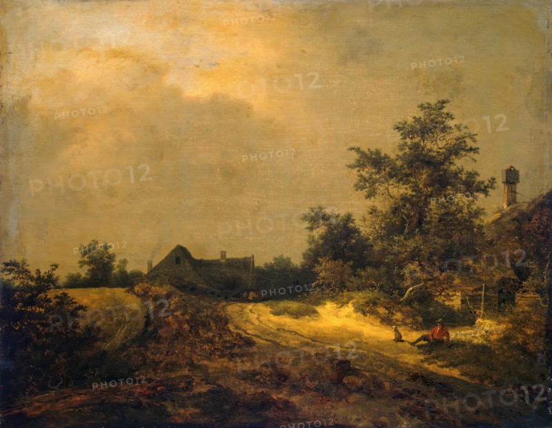 Landscape with some houses and a sand track, 1647. Creator: Jacob van Ruisdael.