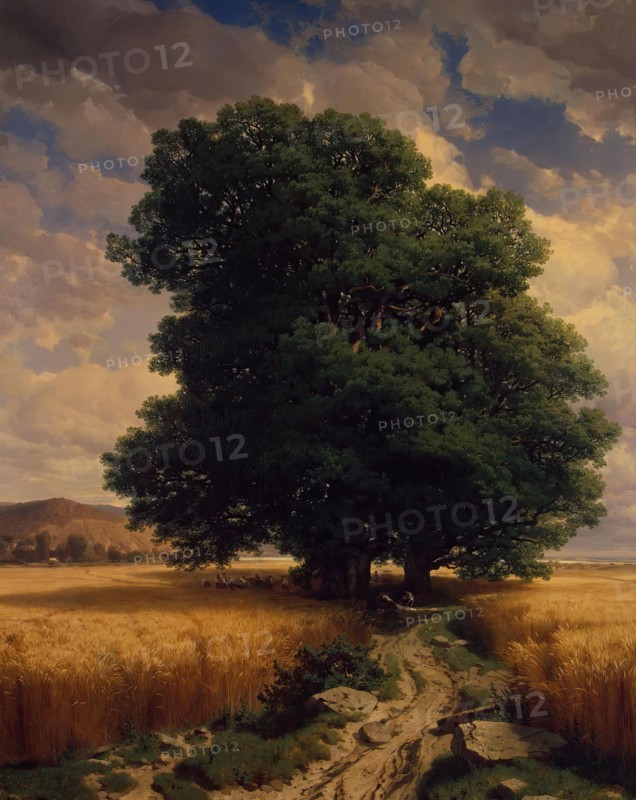 Landscape with Oaks, 1859. Creator: Alexandre Calame.