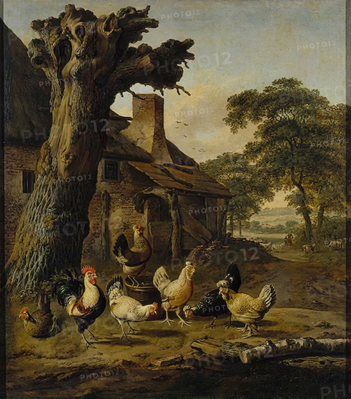 Poultry Yard, 1643. Creator: Dirck Wijntrack.