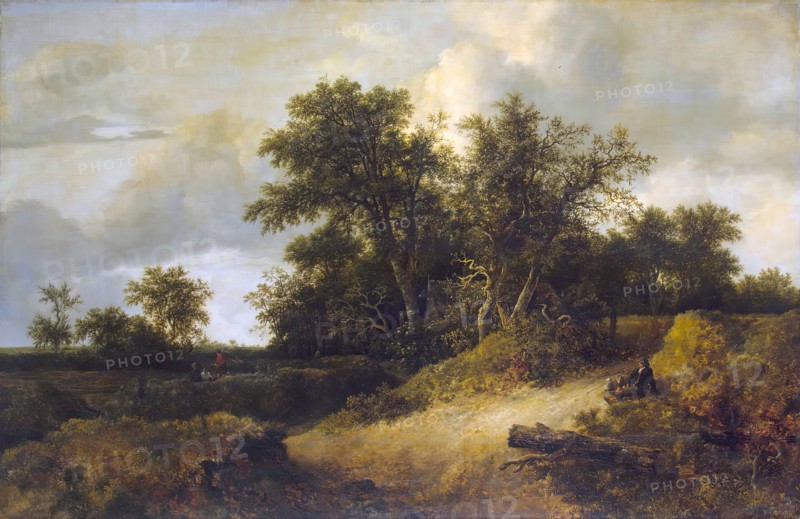 Landscape with a House in the Grove, 1646. Creator: Jacob van Ruisdael.