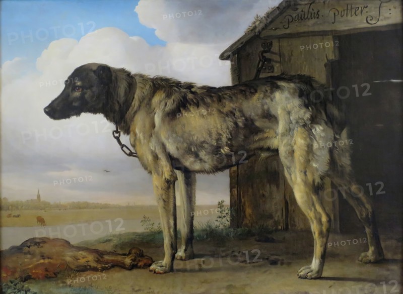 Wolf-Hound, 1650. Creator: Paulus Potter.