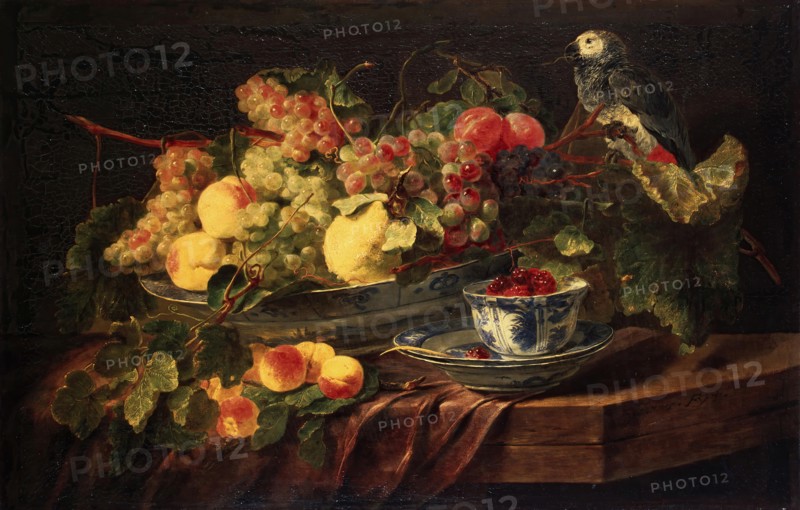 Still Life with Fruit and Parrot, 1645. Creator: Jan Fyt.