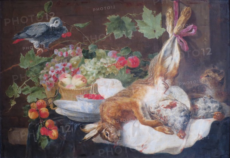 Hare, Fruit and Parrot, 1647. Creator: Jan Fyt.