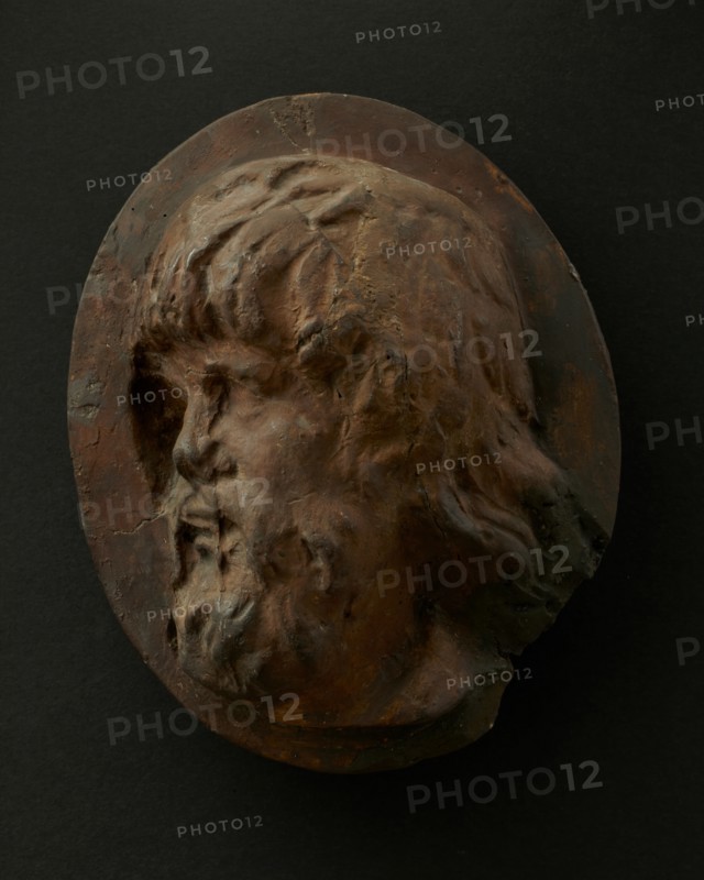 Cast of head of Dacian with long flowing hair and beard. Creator: Unknown.