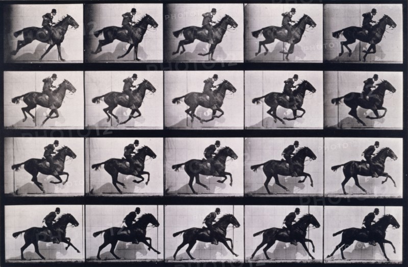 Gallop, 1872-1885.   Creator: Eadweard J Muybridge.