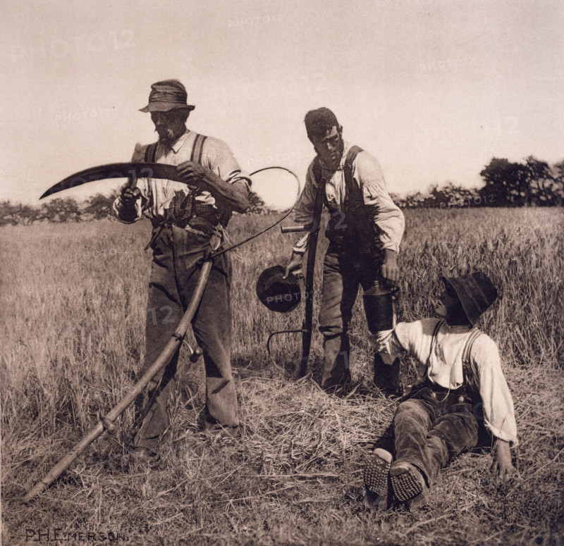 In the Barley Harvest, 1890. Creator: Peter Henry Emerson.
