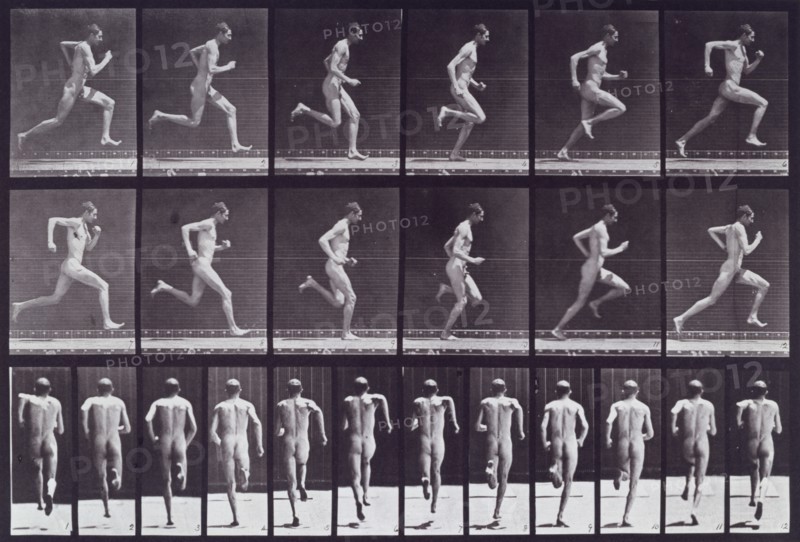 Running at full speed, 1872-1885.  Creator: Eadweard J Muybridge.