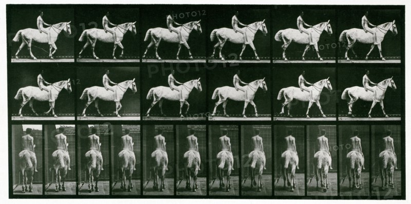 Walking, 1872-1885.  Creator: Eadweard J Muybridge.