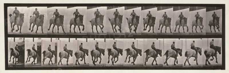 Gallop, 1872-1885.  Creator: Eadweard J Muybridge.